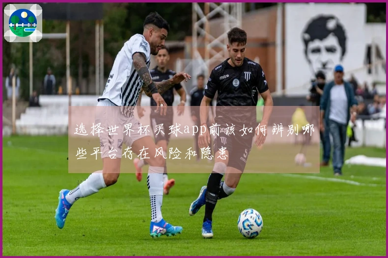 选择世界杯买球app前该如何辨别哪些平台存在风险和隐患