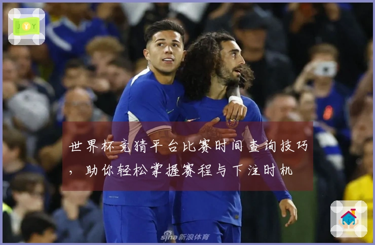 世界杯竞猜平台比赛时间查询技巧，助你轻松掌握赛程与下注时机