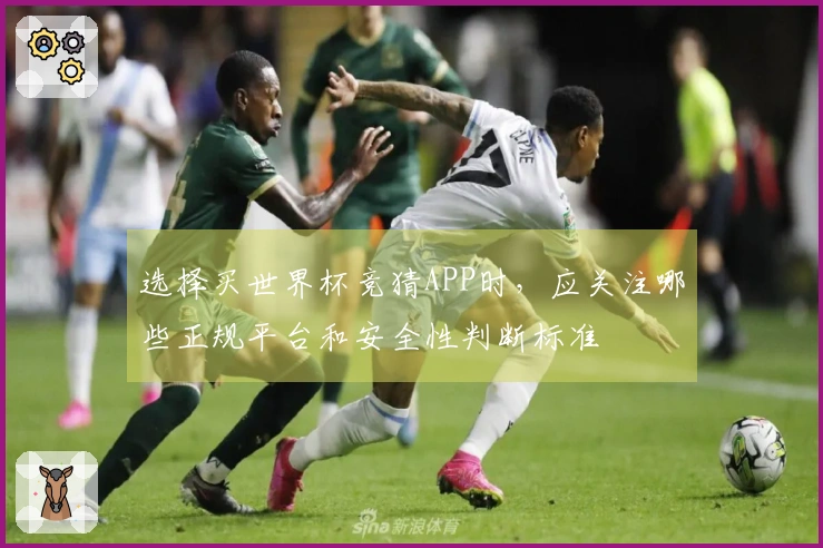 选择买世界杯竞猜APP时，应关注哪些正规平台和安全性判断标准