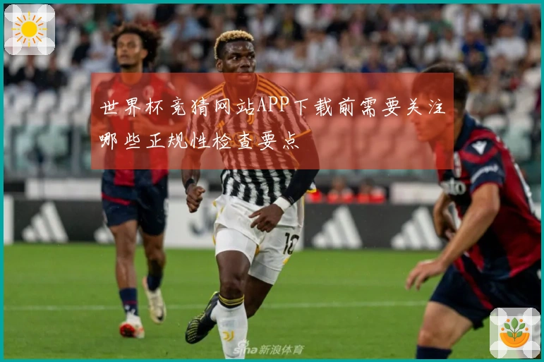 世界杯竞猜网站APP下载前需要关注哪些正规性检查要点
