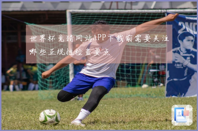 世界杯竞猜网站APP下载前需要关注哪些正规性检查要点