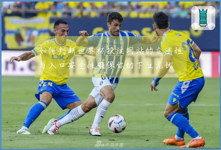 如何判断世界杯投注网站的合法性与入口安全性确保你的下注无忧