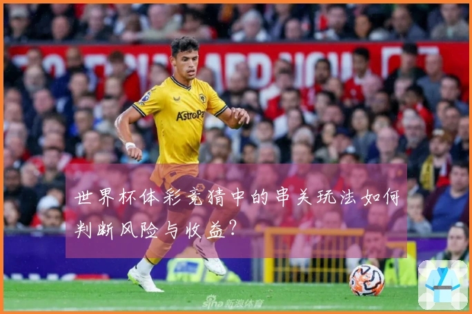 世界杯体彩竞猜中的串关玩法如何判断风险与收益？