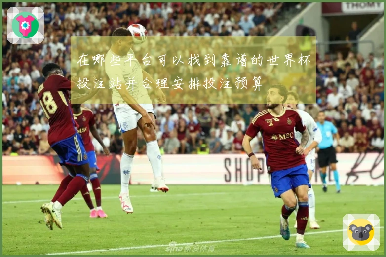 在哪些平台可以找到靠谱的世界杯投注站并合理安排投注预算