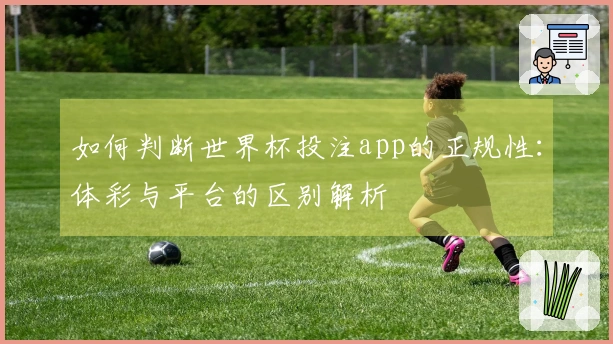 如何判断世界杯投注app的正规性：体彩与平台的区别解析