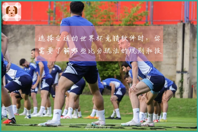 选择合适的世界杯竞猜软件时，你需要了解哪些比分玩法的规则和技巧？