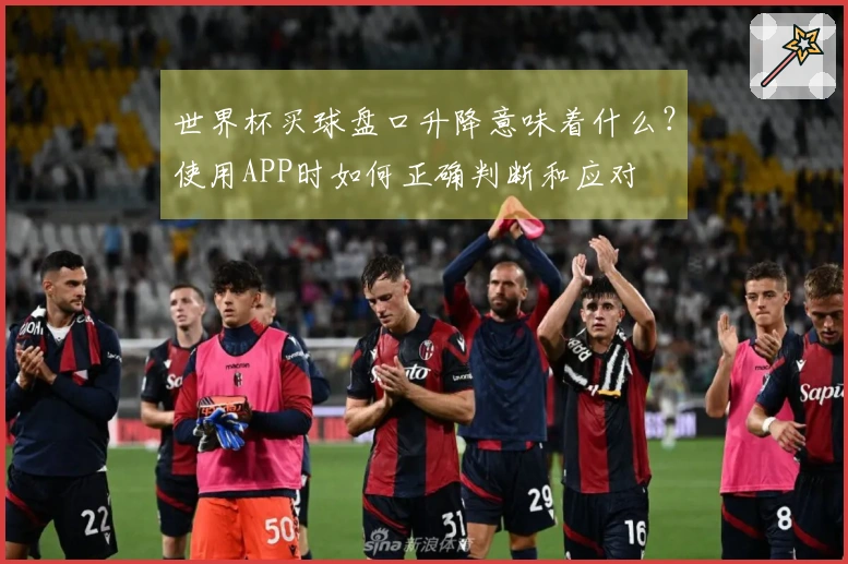 世界杯买球盘口升降意味着什么？使用APP时如何正确判断和应对