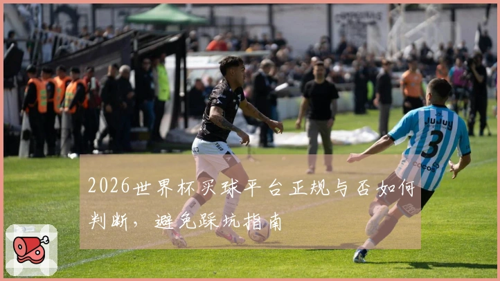 2026世界杯买球平台正规与否如何判断，避免踩坑指南