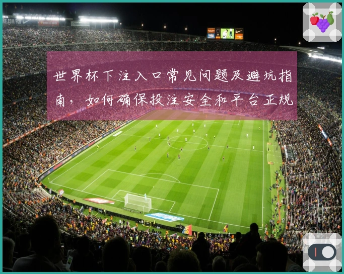 世界杯下注入口常见问题及避坑指南，如何确保投注安全和平台正规性