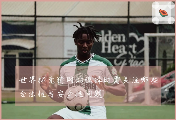 世界杯竞猜网站选择时需关注哪些合法性与安全性问题