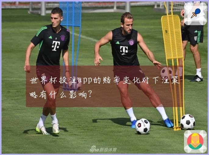世界杯投注app的赔率变化对下注策略有什么影响？