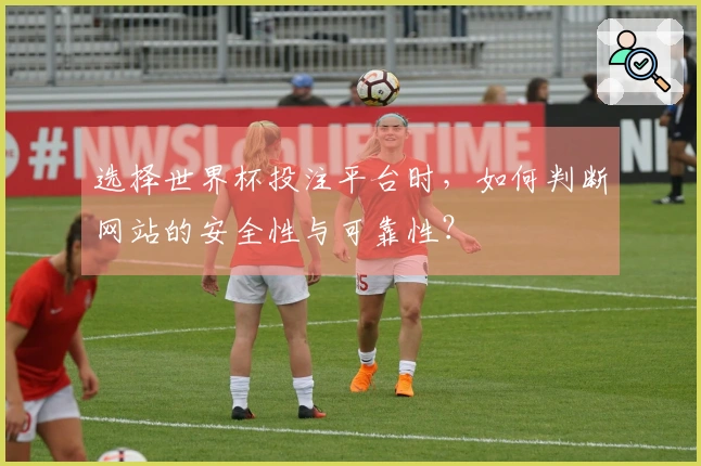 选择世界杯投注平台时，如何判断网站的安全性与可靠性？