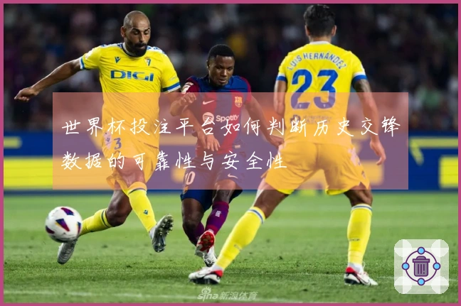世界杯投注平台如何判断历史交锋数据的可靠性与安全性