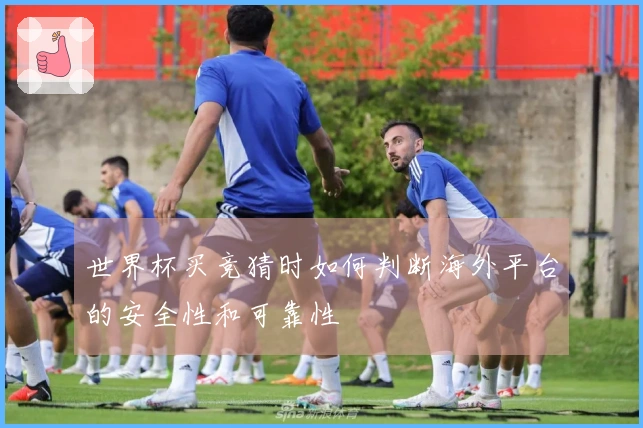 世界杯买竞猜时如何判断海外平台的安全性和可靠性