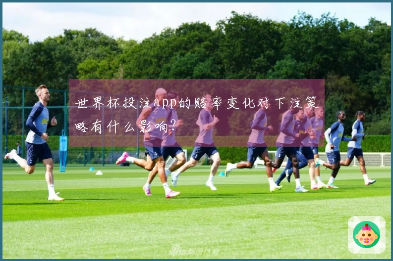 世界杯投注app的赔率变化对下注策略有什么影响？