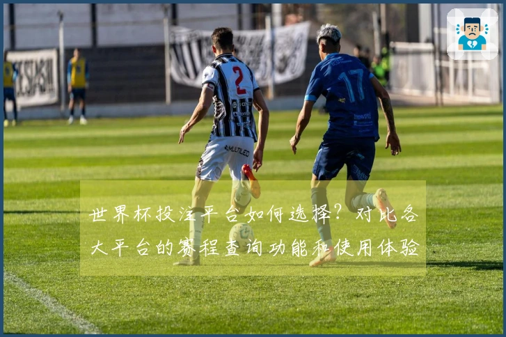 世界杯投注平台如何选择？对比各大平台的赛程查询功能和使用体验