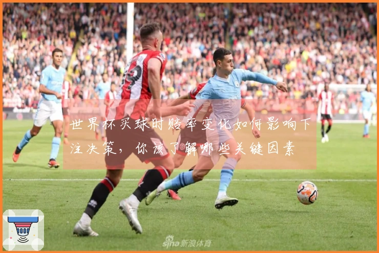 世界杯买球时赔率变化如何影响下注决策，你该了解哪些关键因素