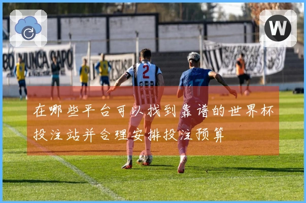 在哪些平台可以找到靠谱的世界杯投注站并合理安排投注预算