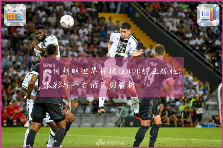 如何判断世界杯投注app的正规性：体彩与平台的区别解析