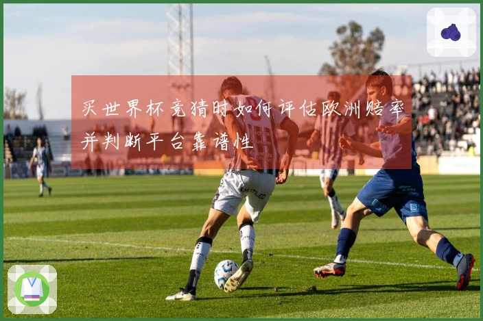 买世界杯竞猜时如何评估欧洲赔率并判断平台靠谱性