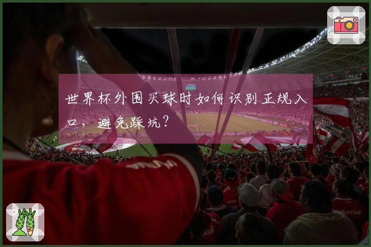 世界杯外围买球时如何识别正规入口，避免踩坑？