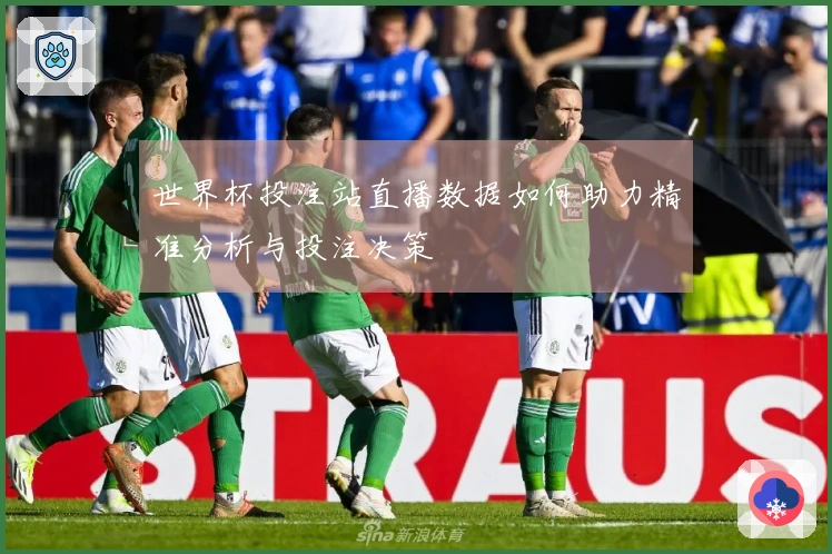 世界杯投注站直播数据如何助力精准分析与投注决策