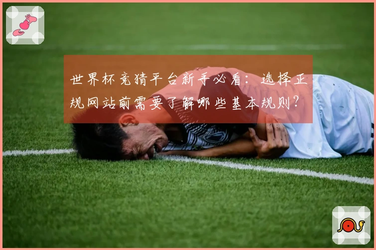 世界杯竞猜平台新手必看：选择正规网站前需要了解哪些基本规则？