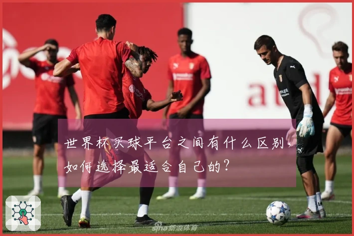 世界杯买球平台之间有什么区别，如何选择最适合自己的？