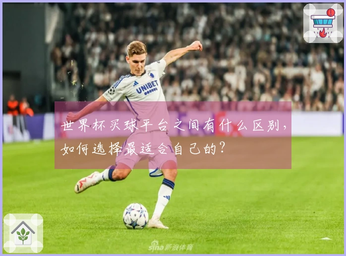 世界杯买球平台之间有什么区别，如何选择最适合自己的？