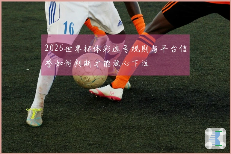 2026世界杯体彩选号规则与平台信誉如何判断才能放心下注