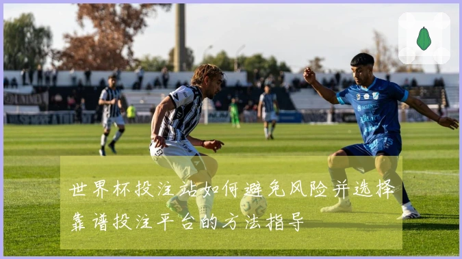 世界杯投注站如何避免风险并选择靠谱投注平台的方法指导