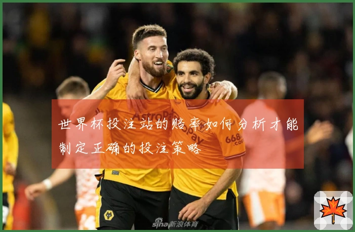 世界杯投注站的赔率如何分析才能制定正确的投注策略
