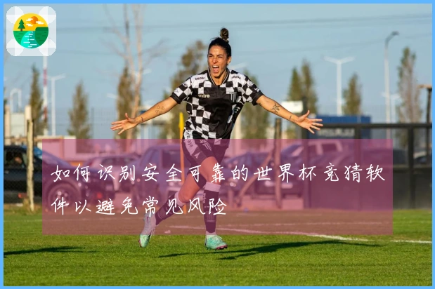 如何识别安全可靠的世界杯竞猜软件以避免常见风险