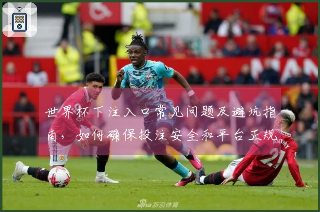 世界杯下注入口常见问题及避坑指南，如何确保投注安全和平台正规性
